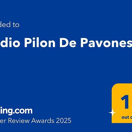 Studio Pilon De Pavones 파보네스 외부 사진